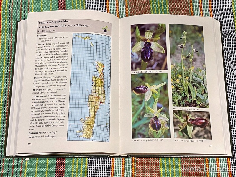 Orchideen auf Kreta Kasos Karpathos - Ein fantastisches Buch - Beispielseite